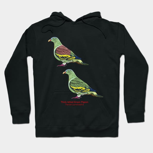 Thick-billed Green Pigeon | Treron curvirostra ⚥ Hoodie by bona 